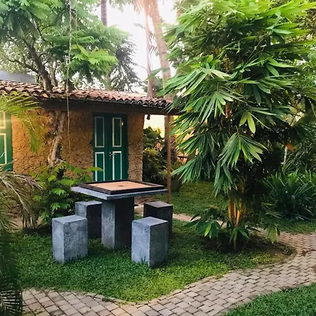 Double Mango Villa-2